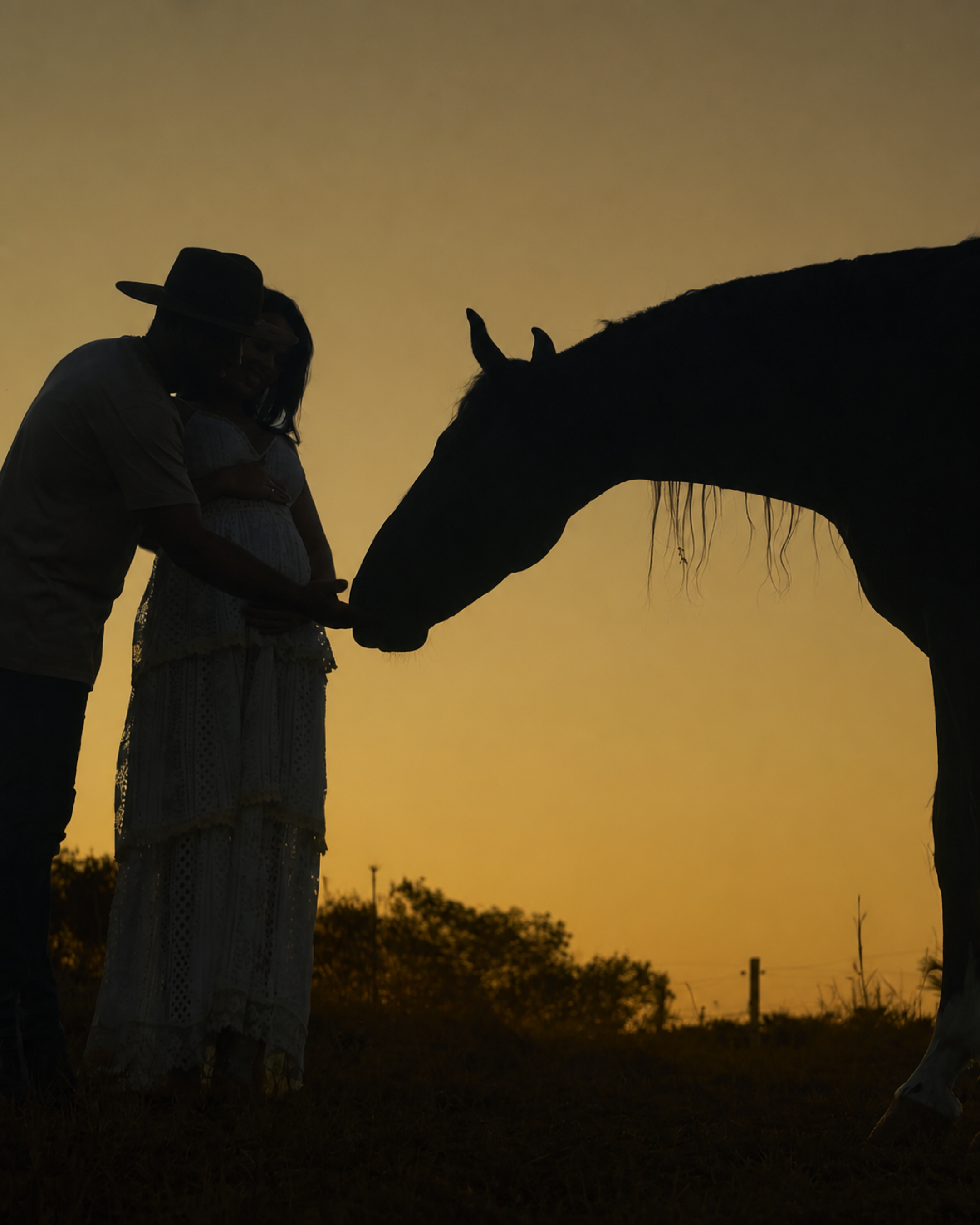 Casal em ensaio country com cavalo